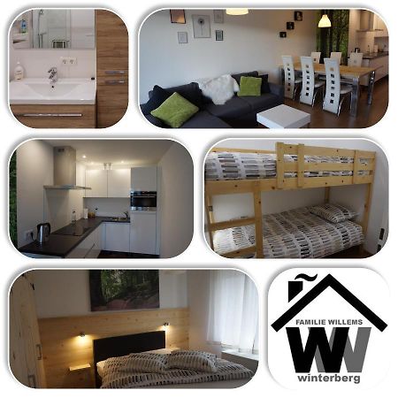 Appartement Familie Willems Winterberg 2 Екстер'єр фото