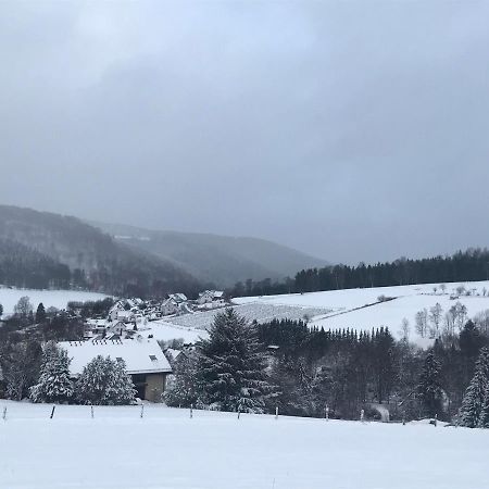 Appartement Familie Willems Winterberg 2 Екстер'єр фото