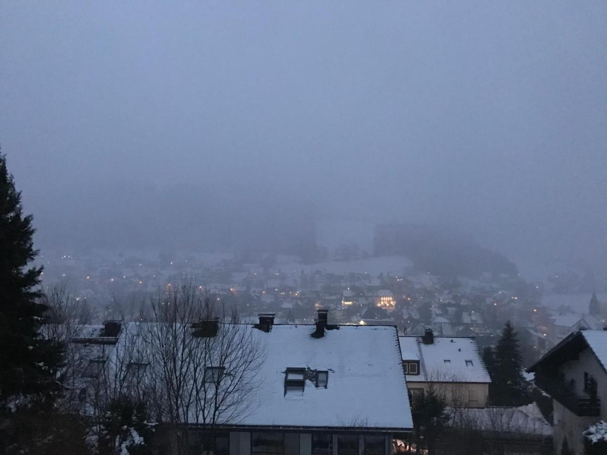 Appartement Familie Willems Winterberg 2 Екстер'єр фото