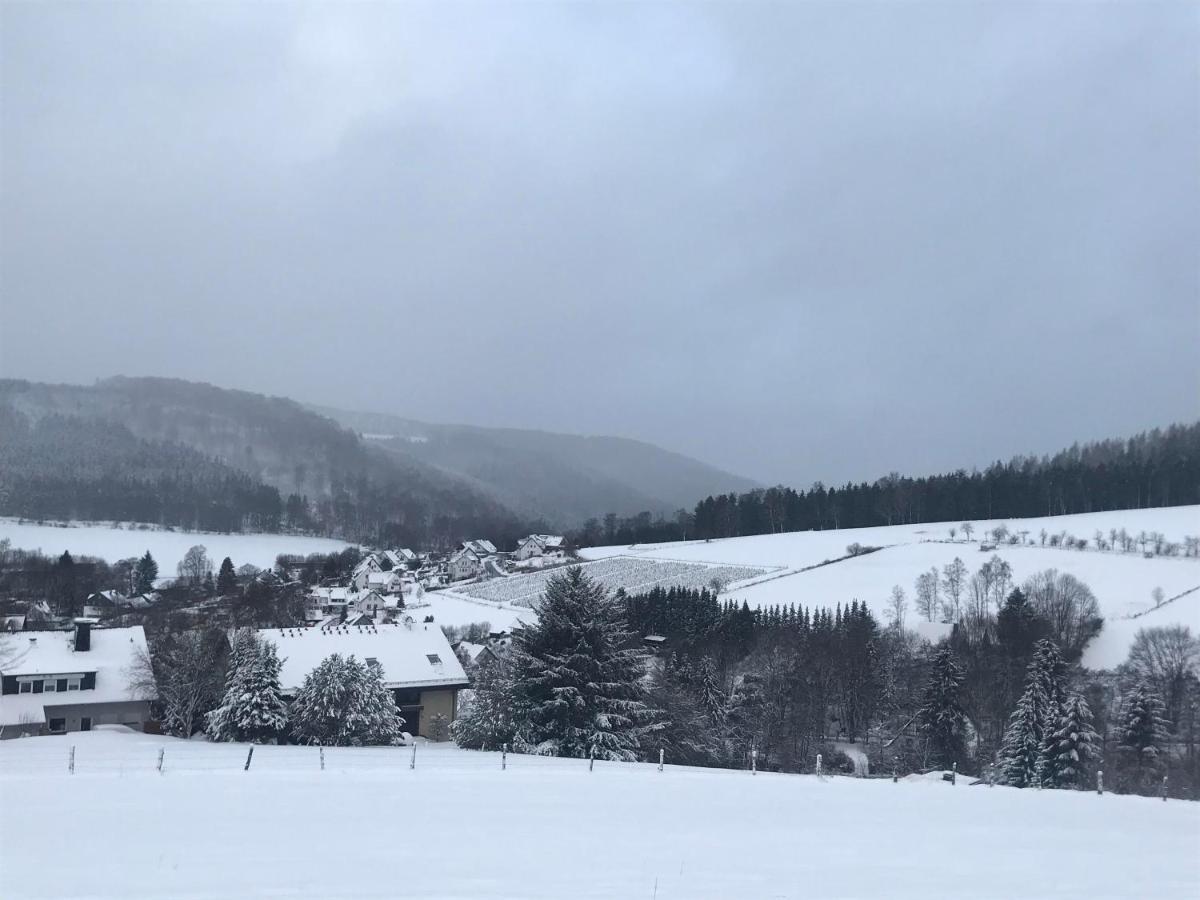 Appartement Familie Willems Winterberg 2 Екстер'єр фото