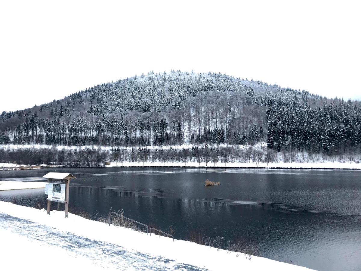 Appartement Familie Willems Winterberg 2 Екстер'єр фото