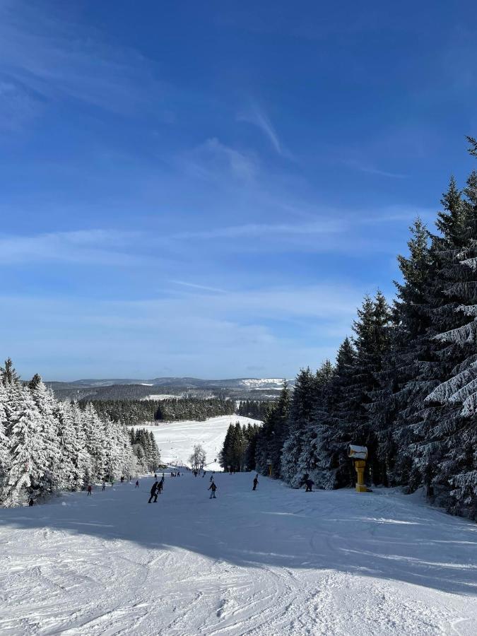 Appartement Familie Willems Winterberg 2 Екстер'єр фото