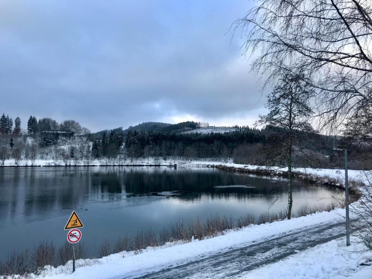 Appartement Familie Willems Winterberg 2 Екстер'єр фото